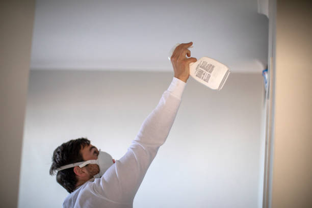 Best Attic Mold Removal  in Apple Valley, UT