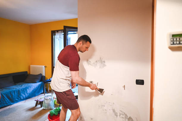 Office Mold Removal Services in Apple Valley, UT